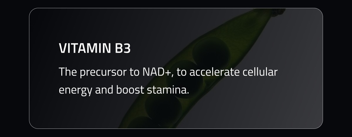 Vitamin B3