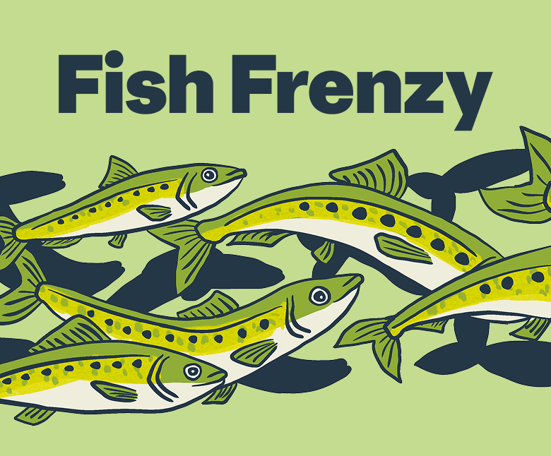 They're back!