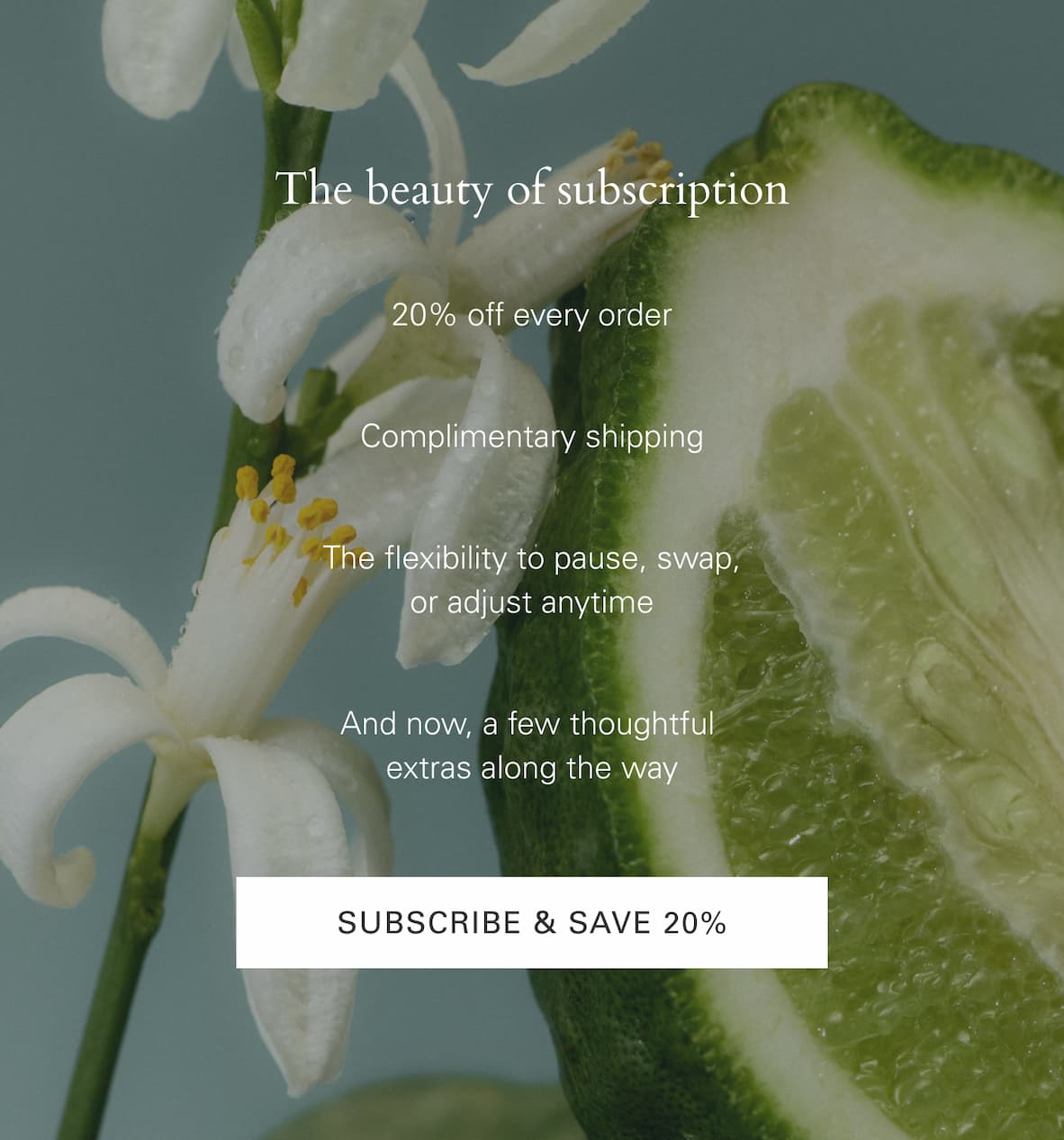 The perks to subscribing