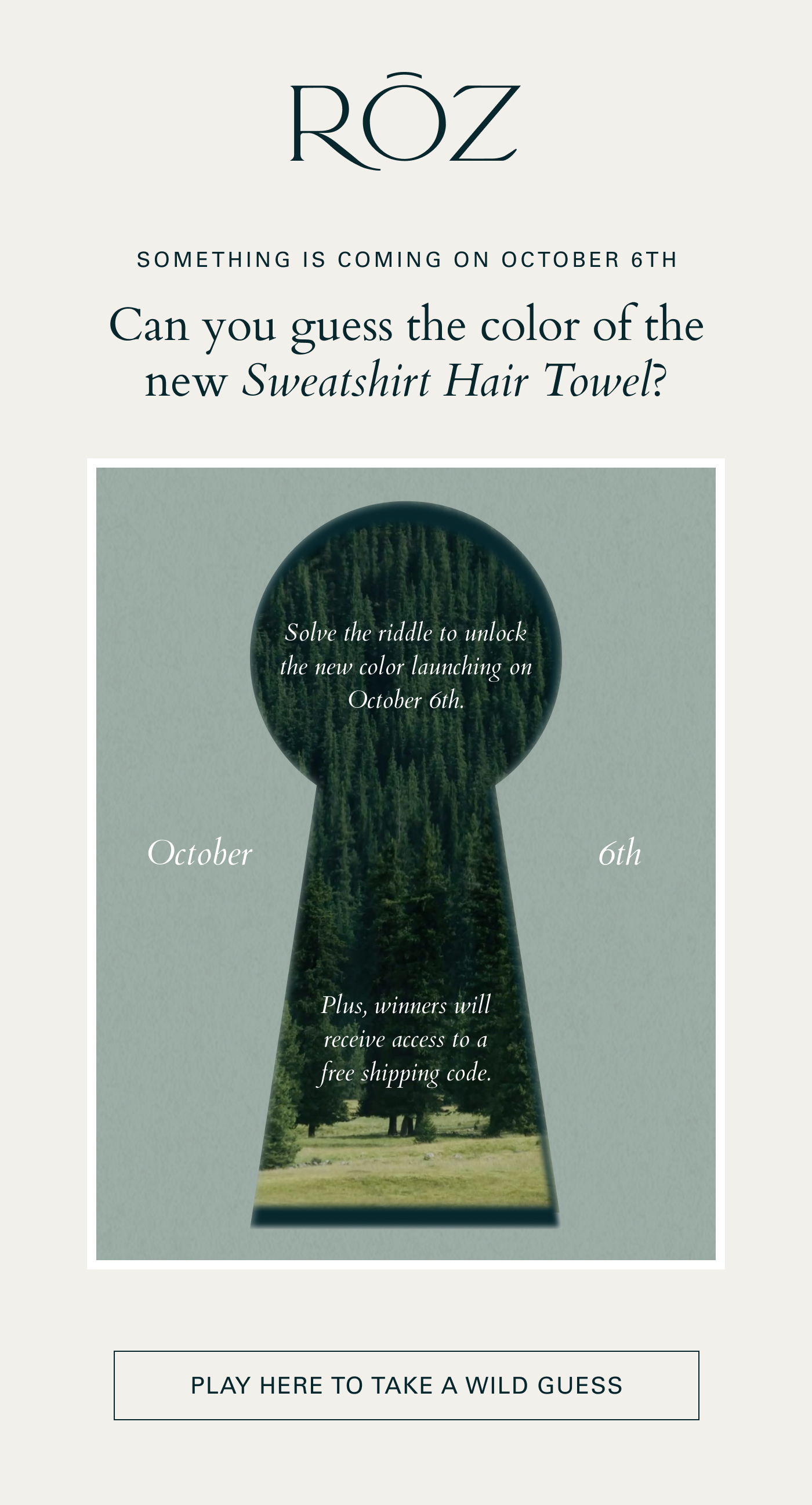 Can you guess the color of the new Sweatshirt Hair Towel?