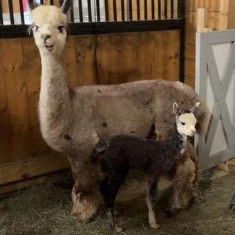 The new baby boy with his mom, Maybeline