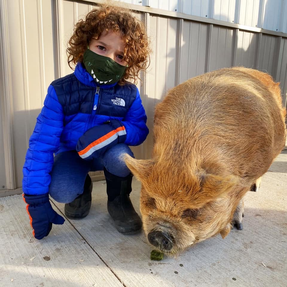 Julia, Elise and Max at the farm, December 2020