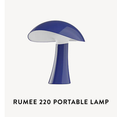 Rumee 220 Portable Lamp