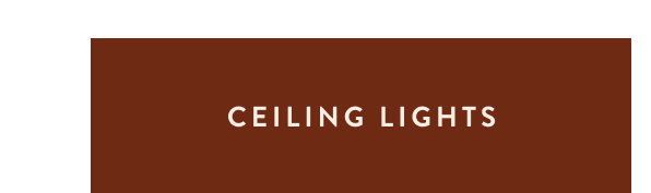 Ceiling Lights 