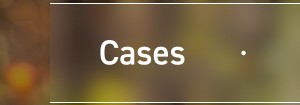 Cases