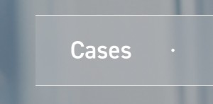 Cases