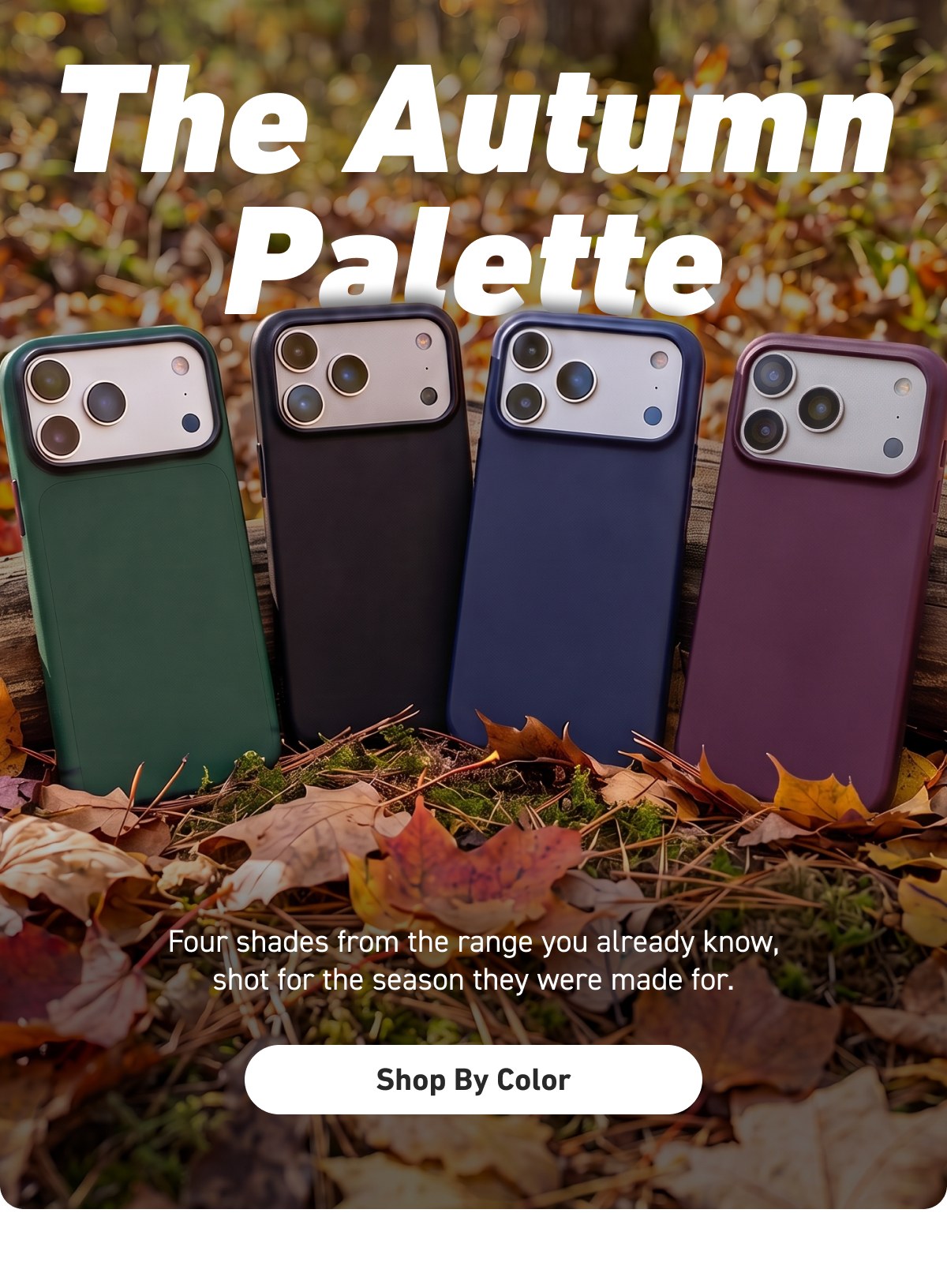 The Autumn Palette [Click here to Shop By Color]