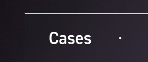 Cases