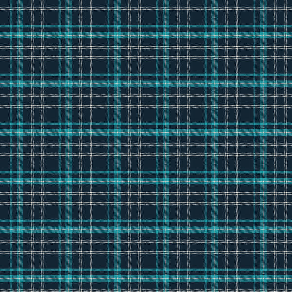 Plaid Navy