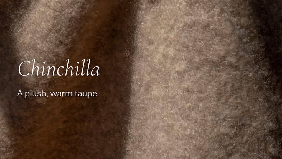 Chinchilla
