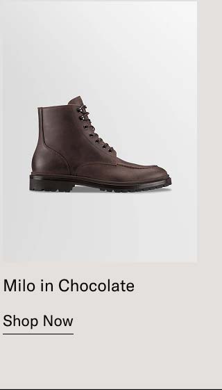 Milo in Chocolate Shop Now