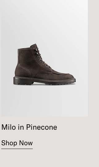 Milo in Pinecone Shop Now