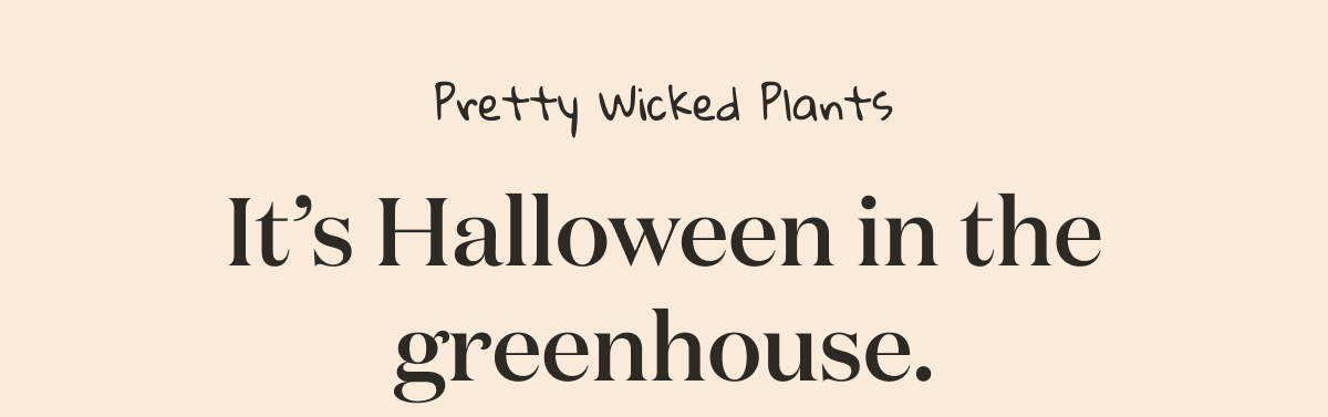 Pretty Wicked Halloween Plants