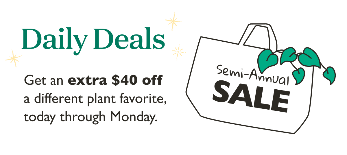 Get an extra $40 off a different plant favorite, today through Monday.
