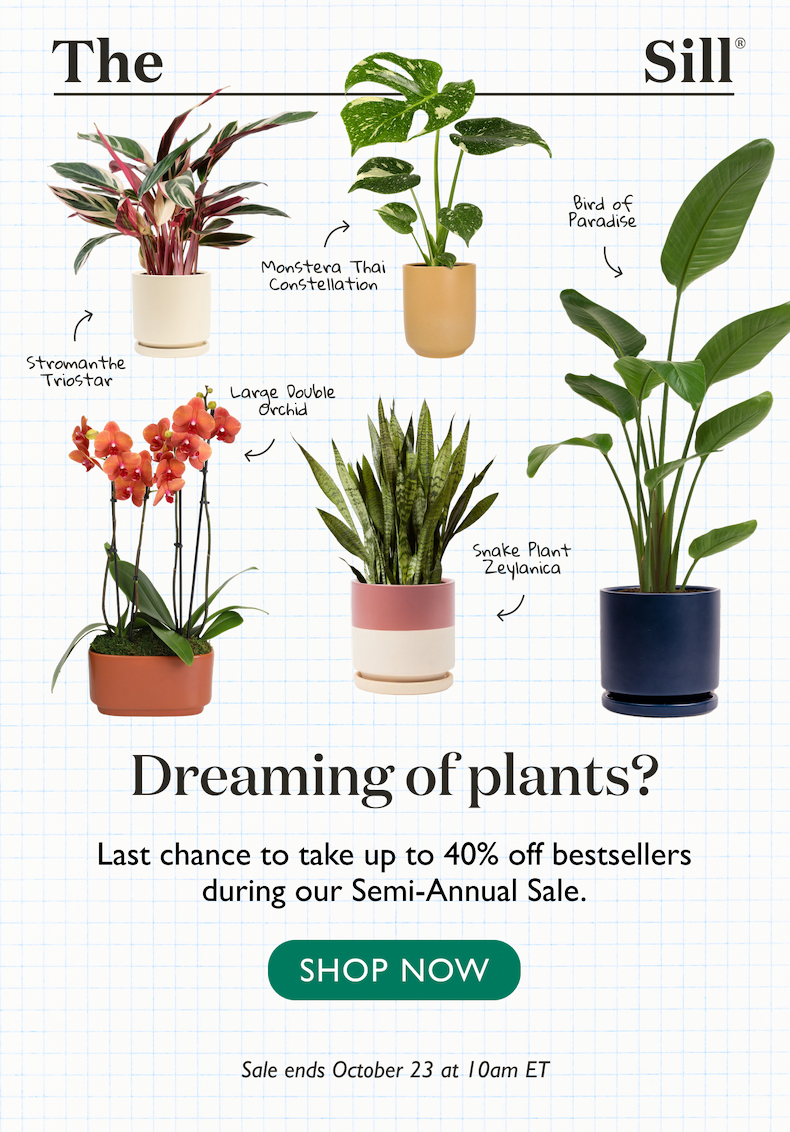 Last chance to take up to 40% off bestsellers during our Semi-Annual Sale.