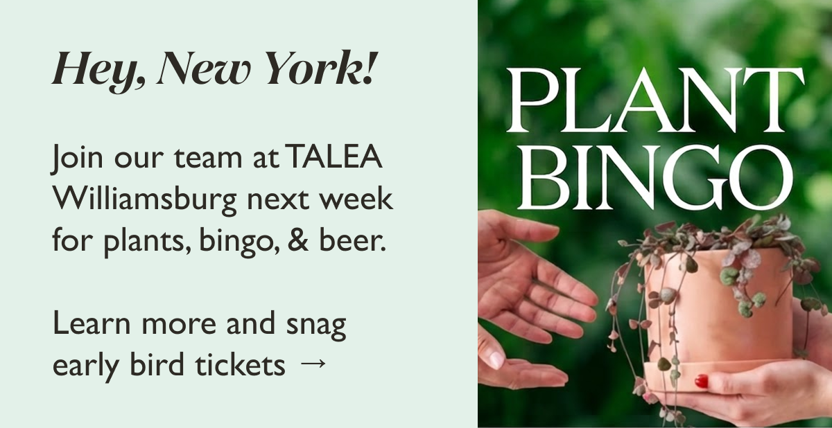 The Sill Plant Bingo Event