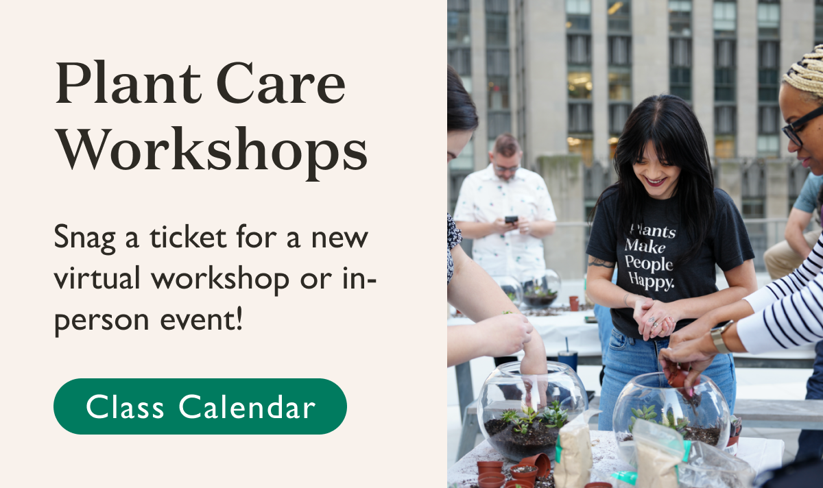 Snag a ticket for a new virtual workshop or in-person event. View the current calendar.