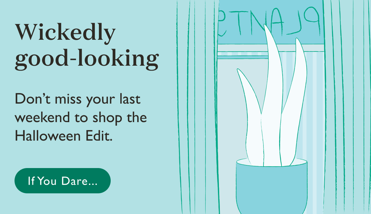 Wickedly good-looking plants. It's the last weekend to explore the Halloween Edit.