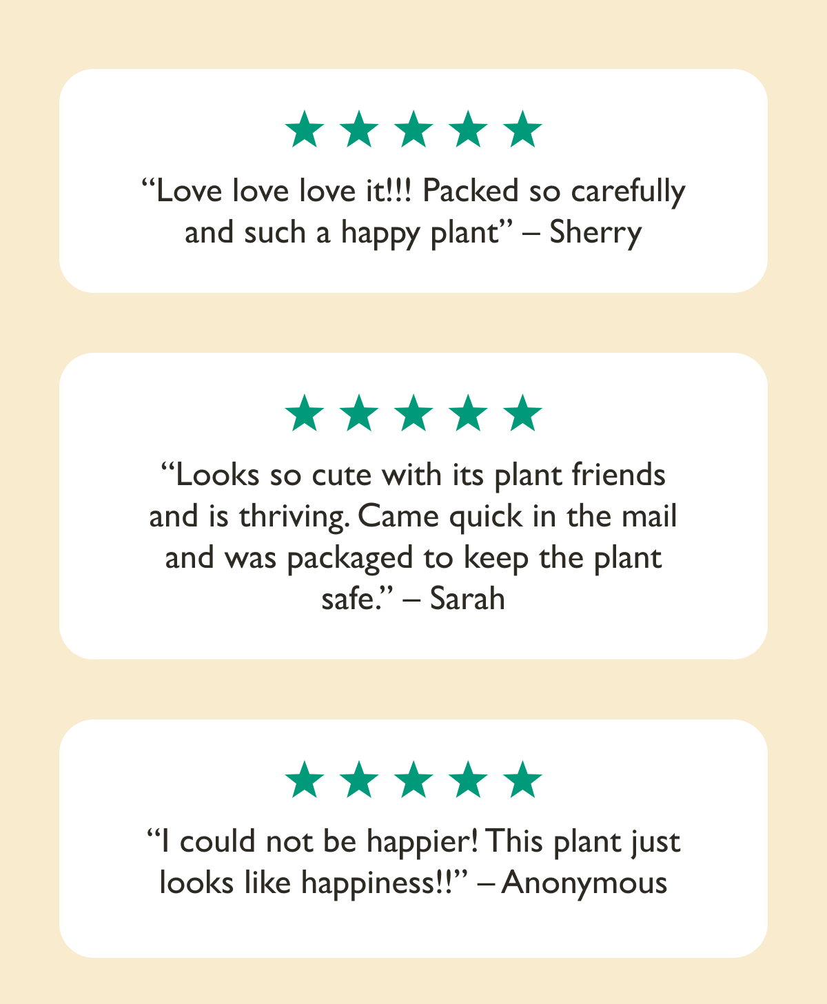 Customer Reviews